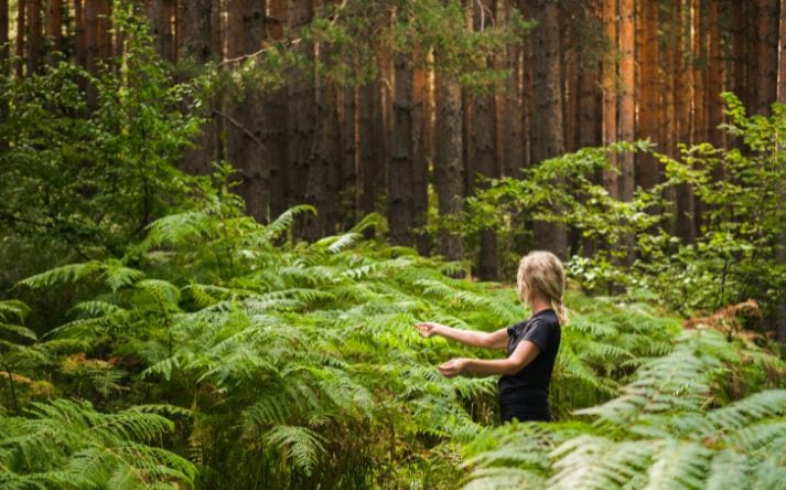 Når stilheden taler: Hvordan naturen reducerer sensorisk overload på et bosted